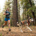 Une femme souriante pratique le canicross avec son chien husky sur un sentier forestier ensoleillé.